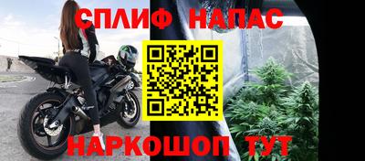 mdpv Заводоуковск