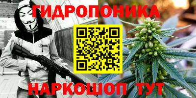 эйфоретик Заволжье