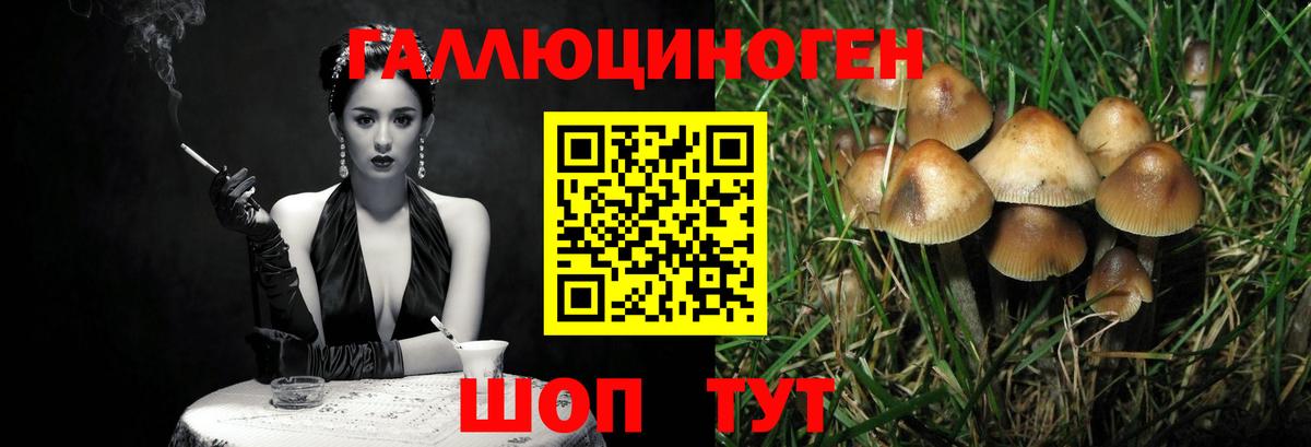 Майский  Галлюциногенные грибы ЛСД  Вход с VPN 